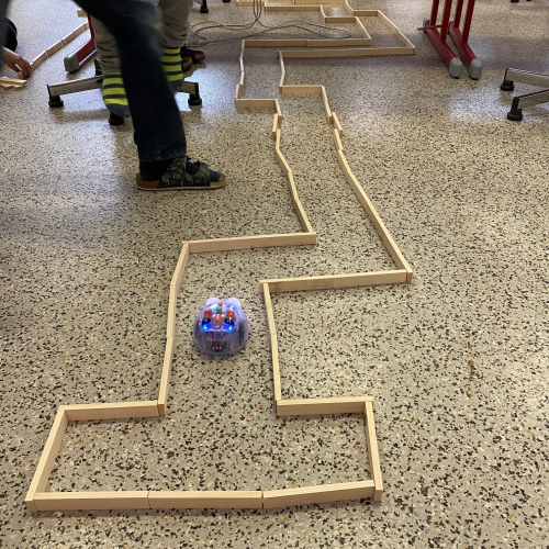 bluebots3