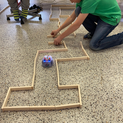 bluebots4