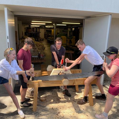 Holz15
