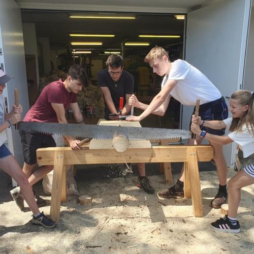 Holz19