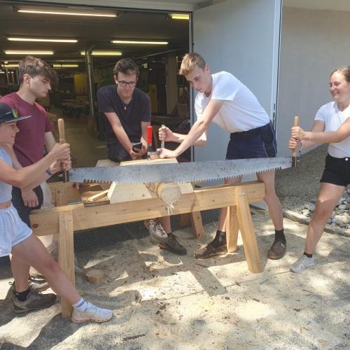 Holz20