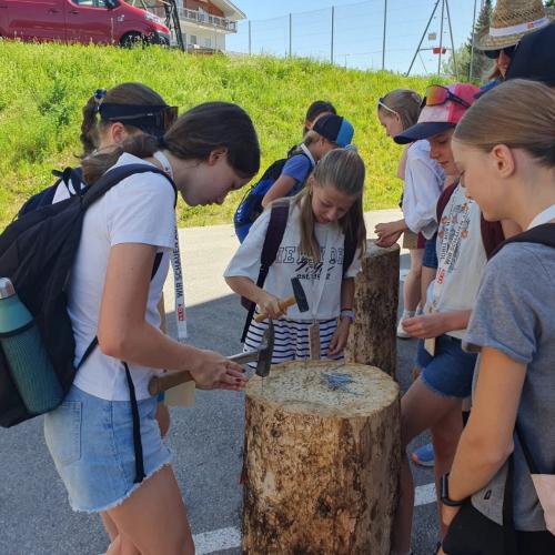 Holz23