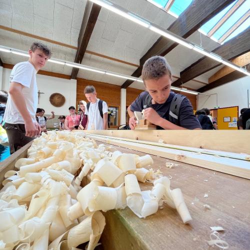 Holz3