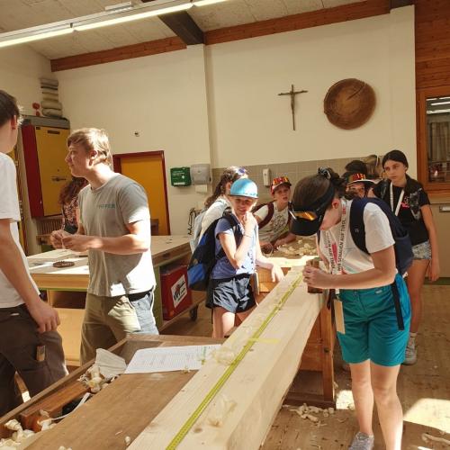 Holz31
