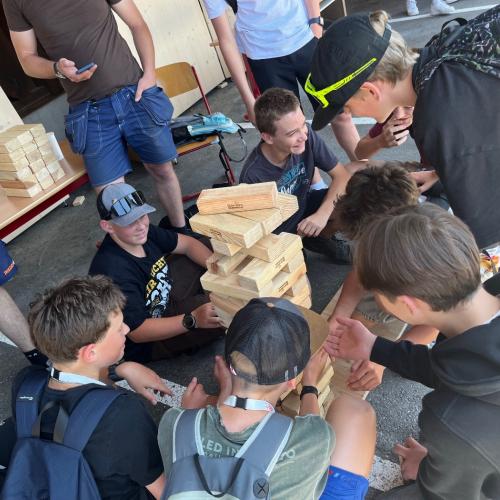 Holz8