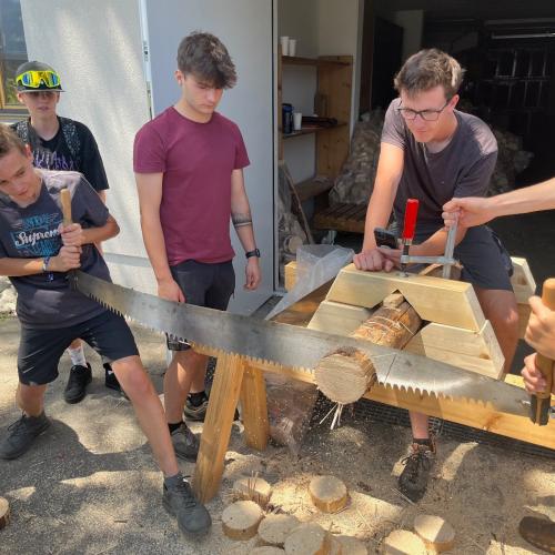Holz9