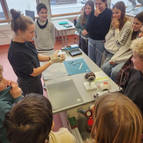 Rinderauge wird von Lehrperson seziert