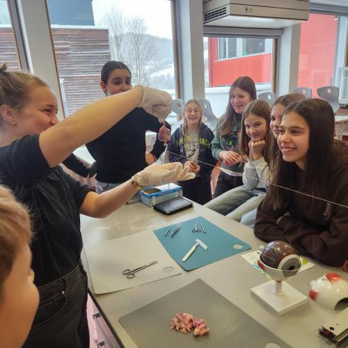 Rinderauge wird von Lehrperson seziert