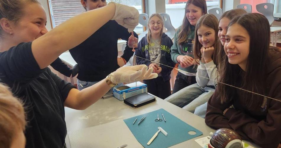 Rinderauge wird von Lehrperson seziert